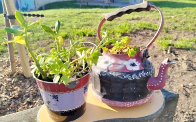 Drôles de contenants pour jolies plantations